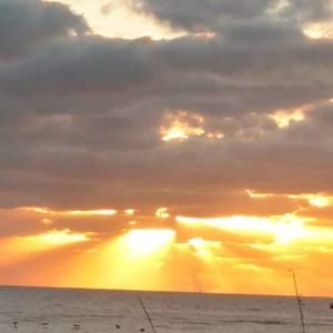 Meet your Posher, Jane